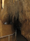 28th February (Waitomo Caves)